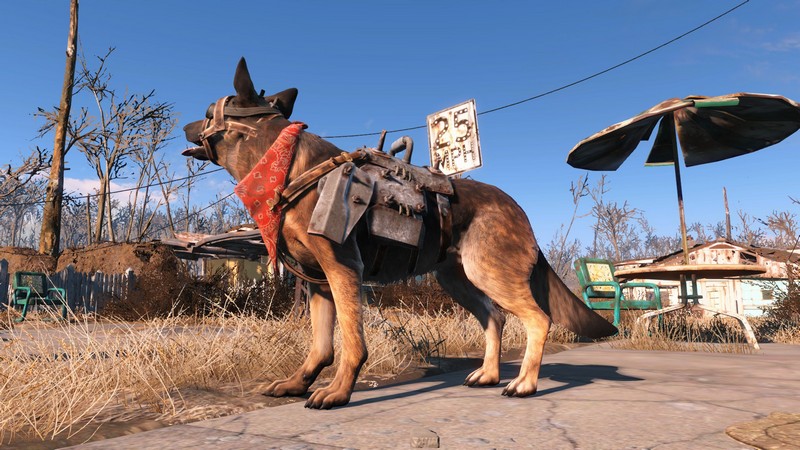Fallout 4 where is dog meat in sanctuary